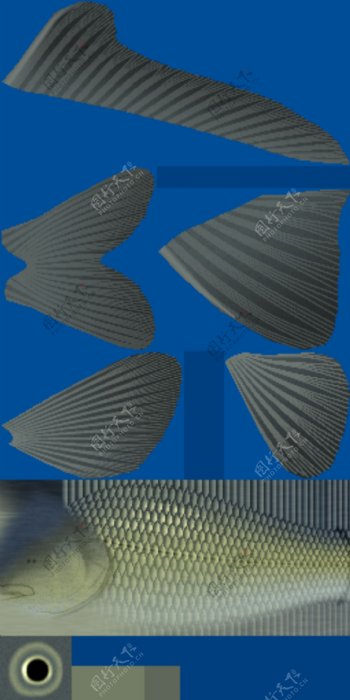 动物鱼类3d模型动植物模型免费下载鱼类3d素材65