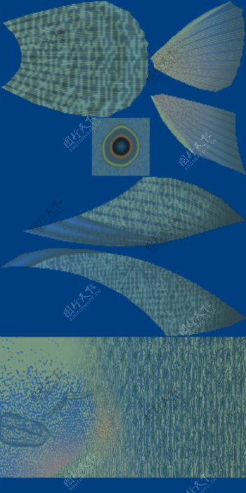 动物鱼类3d模型动植物模型免费下载3d模型免费下载3
