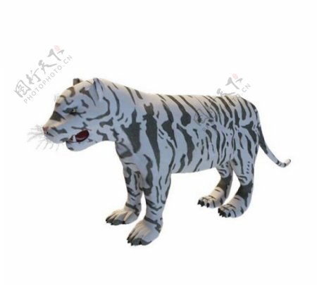 老虎3d模型