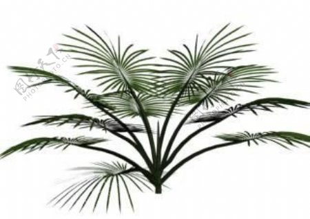 植物3D模型素材20080502更新24