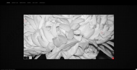 黑白花瓣网页动画模板