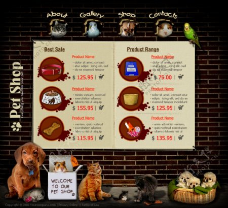宠物商店信息网页模板