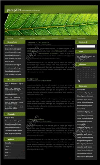 绿叶小册BLOG网页模板