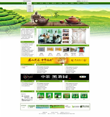 茶叶网站论坛绿色图片