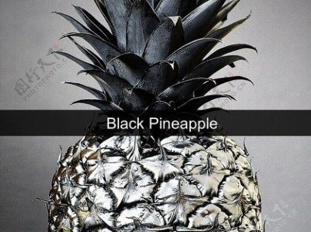 黑菠萝模板