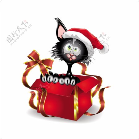 圣诞黑猫图片