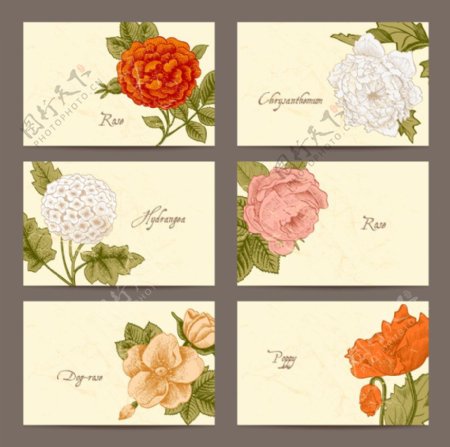 6款复古花卉卡片矢量素材