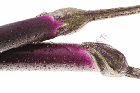 茄子紫茄子图片