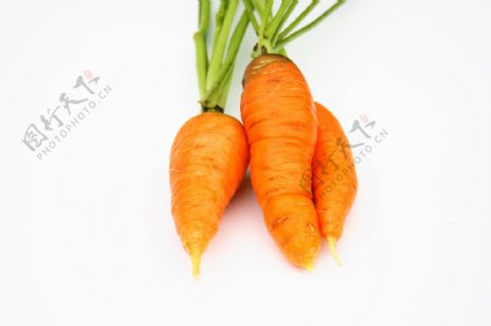 胡萝卜高清摄影图片