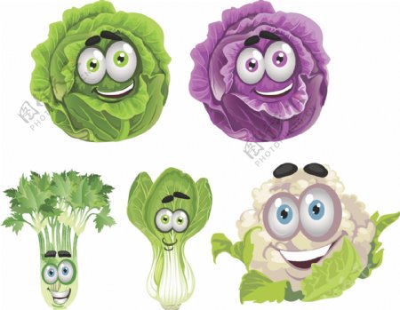 蔬菜蔬菜卡通图片