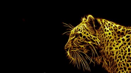 高清金色抽象豹子