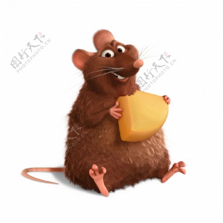 老鼠吃奶酪
