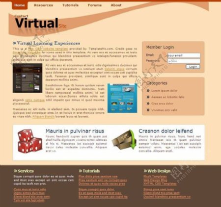 虚拟网站CSS网页模板