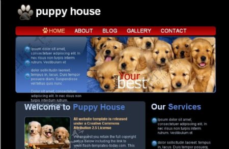 宠物之家网页模板