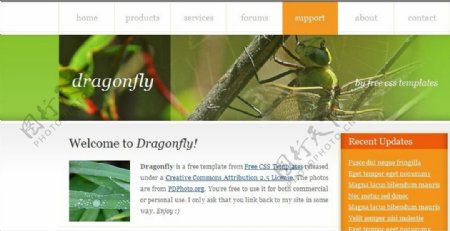 蜻蜓主题信息网页模板
