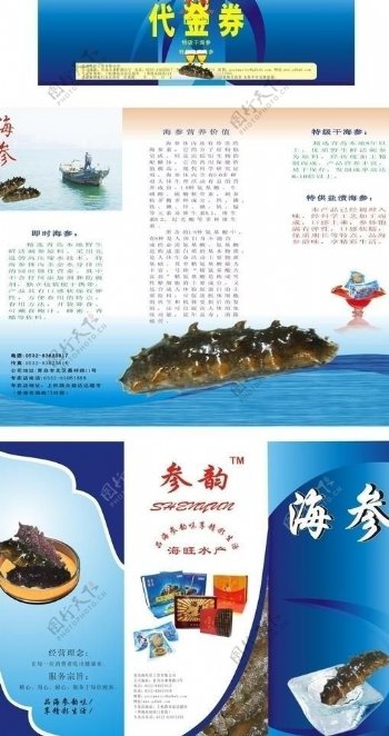 海参广告图片