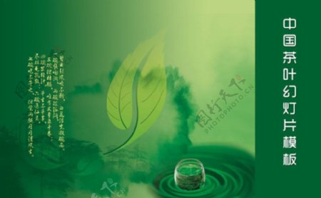 中国绿茶背景PPT模板下载