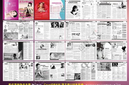 女子周刊23期图片
