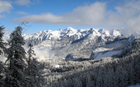 冬季树林雪山风景图片