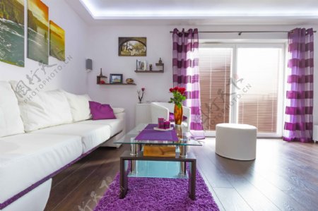 高清紫白色调客厅图