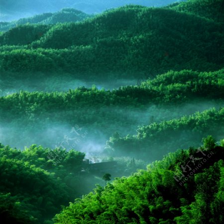 绿色山景