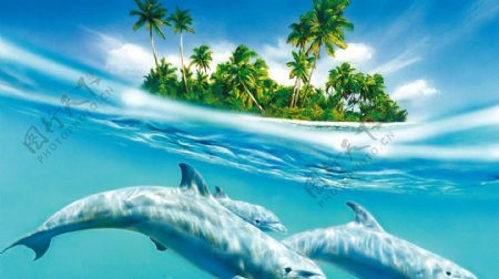 海豚椰岛