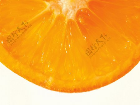 橙子片特写