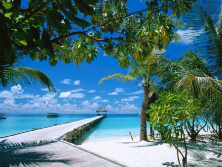 高清马尔代夫沙滩海景