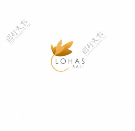 枫叶化妆品logo设计