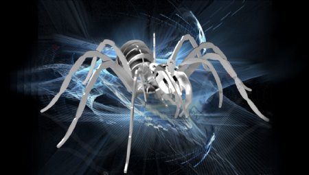 狼蛛蜘蛛的3D模型钢板木工metalcraftdesign拼图