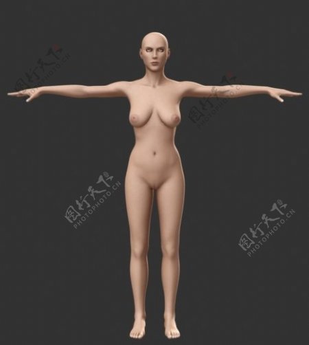 人物女性3d模型设计免费下载模型免费下载14