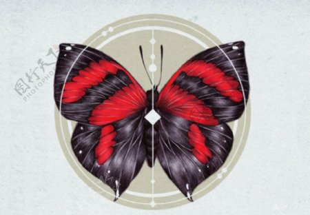 位图插画昆虫蝴蝶几何免费素材