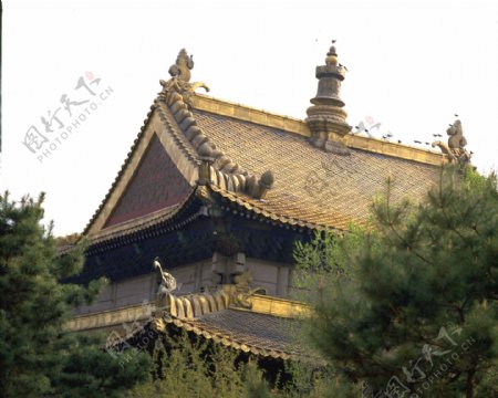 中国建筑风景图片北京雍和宫风景