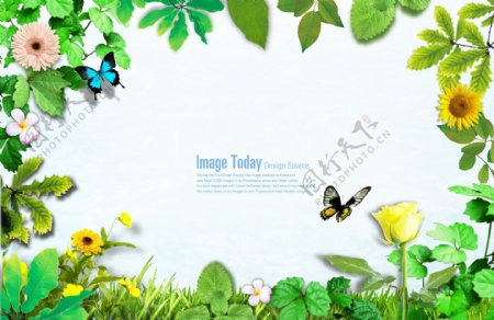 绿色植物花朵和蝴蝶背景素材