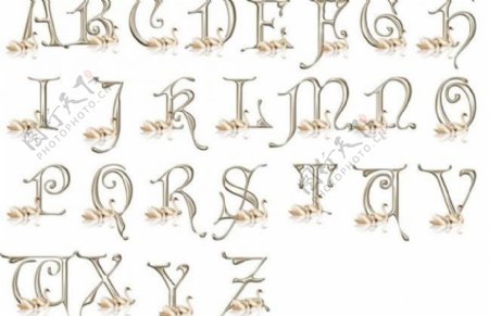 天鹅英文字母图片