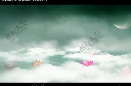云雾月亮花朵视频素材图片