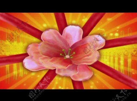 春节元素视频素材图片