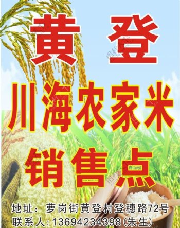 黄登农家米图片