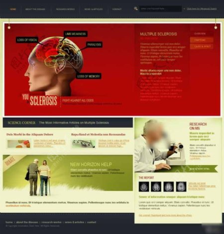 大脑医学研究网页模板