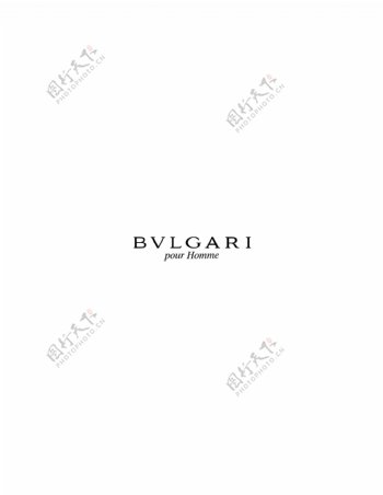 Bvlgarilogo设计欣赏软件和硬件公司标志Bvlgari下载标志设计欣赏