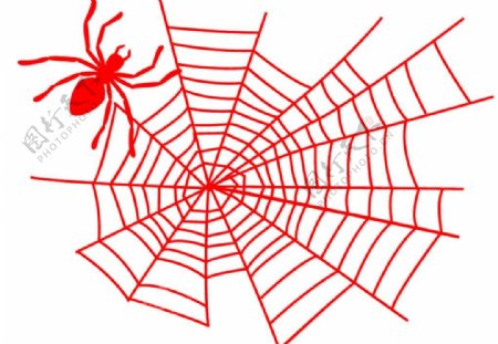 蜘蛛及蜘蛛网笔刷图片