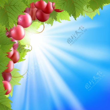 矢量素材阳光下新鲜的水果