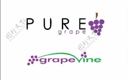 葡萄logo图片