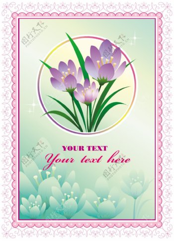 矢量花朵边框花纹卡片背景