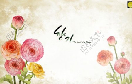 韩式美丽花卉分层