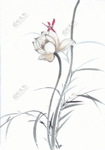 小鸟喜鹊油墨画花丛中华艺术绘画