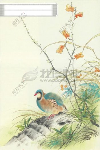 动物小鸟喜鹊油墨画花丛中华艺术绘画