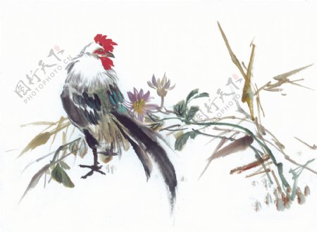 中华艺术绘画古画山水画动物绘画飞鸟中国古代绘画