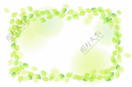 韩式花纹树叶边框