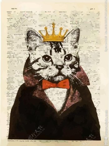 猫王皇冠图片